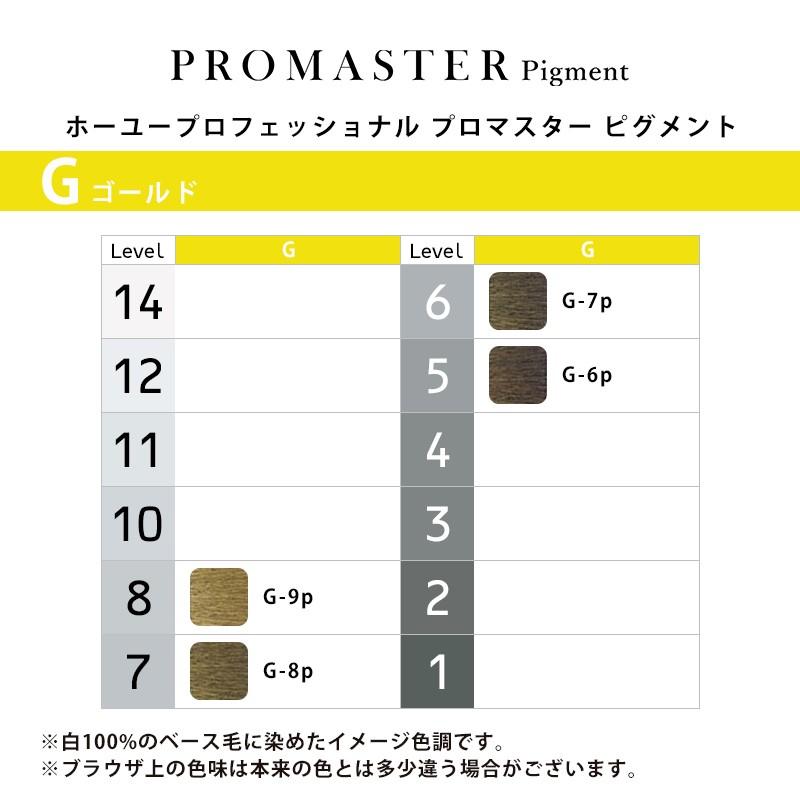 hoyu（ホーユー） プロフェッショナル プロマスター ピグメント