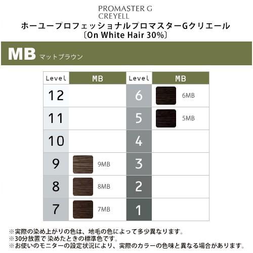 hoyu（ホーユー） プロフェッショナル プロマスターGクリエール Basic