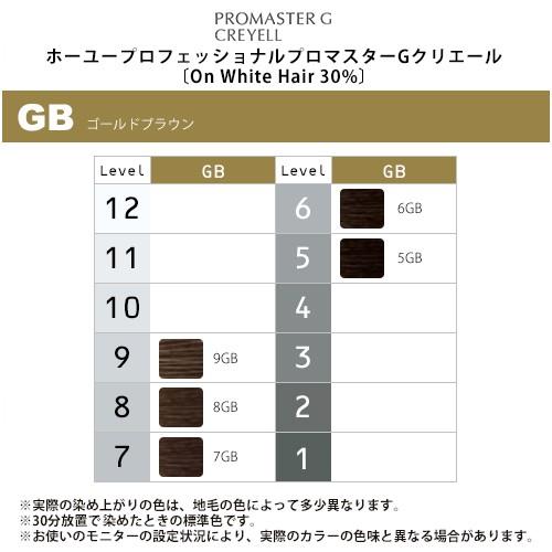 hoyu（ホーユー） プロフェッショナル プロマスターGクリエール Basic 