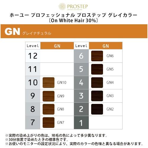 hoyu（ホーユー） プロフェッショナル プロステップ グレイカラー 1剤