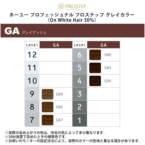 hoyu（ホーユー） プロフェッショナル プロステップ グレイカラー 1剤