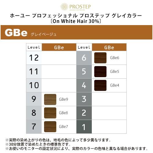 hoyu（ホーユー） プロフェッショナル プロステップ グレイカラー 1剤