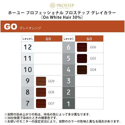 hoyu ホーユー プロフェッショナル プロステップ グレイカラー 1