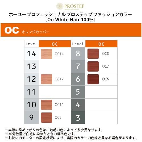 ホーユー プロフェッショナル プロステップ ファッションカラー 1剤 80g オレンジカッパー|カラー剤 美容院専売｜ray｜09