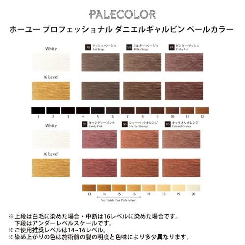 hoyu（ホーユー） プロフェッショナル ダニエルギャルビン ペール