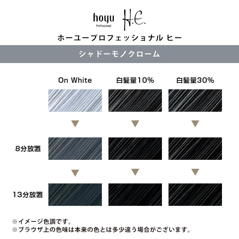 hoyu（ホーユー） ホーユープロフェッショナル H.E. ヒー 1剤 80g