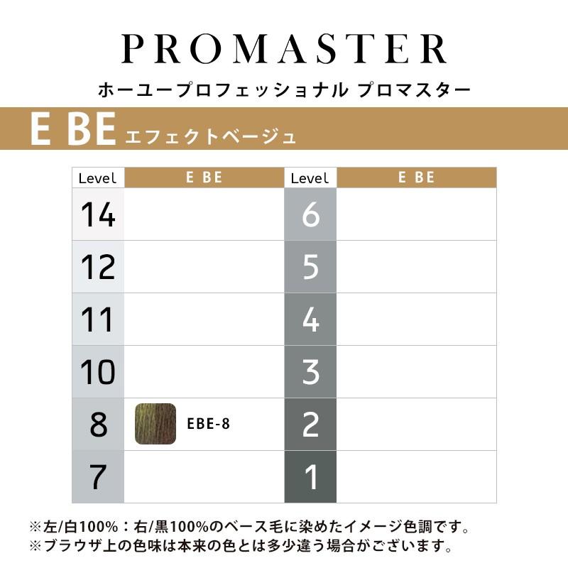 処分価格！ホーユーカラー剤71本セット 商品情報 | ホーユープロフェッショナル