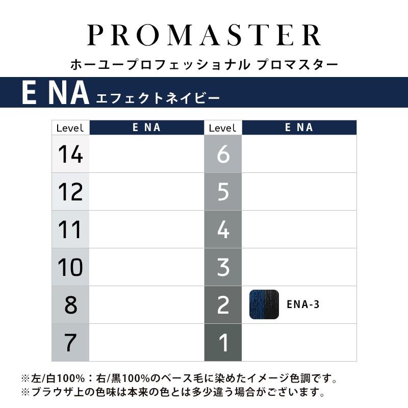 hoyu（ホーユー） プロフェッショナル プロマスター エフェクトカラー