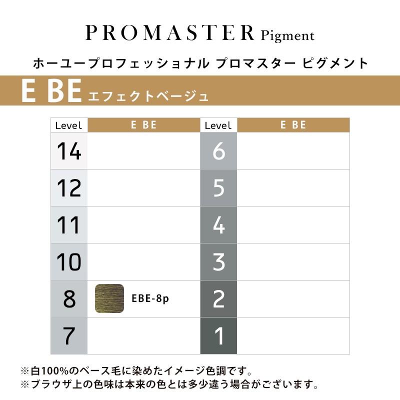 ホーユー　プロマスターピグメント カラーリング剤 80g 各種　21本 hoyu ホーユー プロフェッショナル プロマスター ピグメント