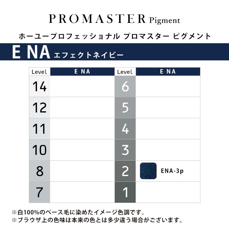 hoyu（ホーユー） プロフェッショナル プロマスター ピグメント