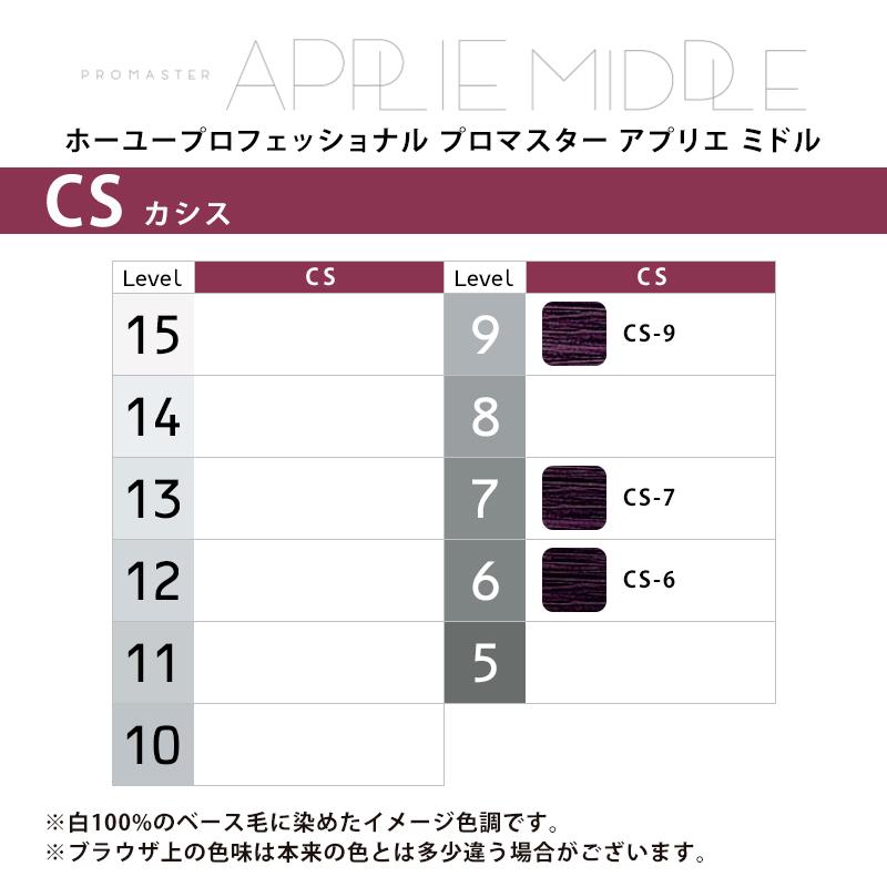 PROMASTER（ホーユー） ホーユー プロフェッショナル プロマスター
