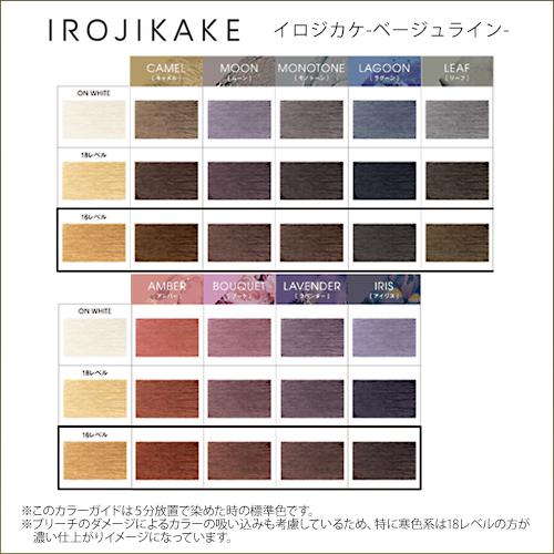 ホーユー IROJIKAKE イロジカケ 1剤 80g ベージュライン|hoyu カラー剤  