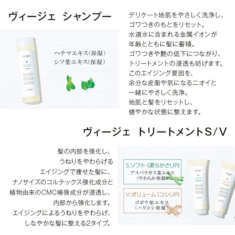 ルベル ヴィージェ ヘアトリートメント V 1000ml（詰替用） 美容院専売｜ray｜03