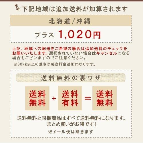 ルベル ヴィージェ シャンプー 1000ml（詰替用） 1個 ＋ ヘアトリートメント 1000ml（詰替用） 1個 計2個 詰替用セット|ルベル セット おすすめ品 美容院専売｜ray｜06