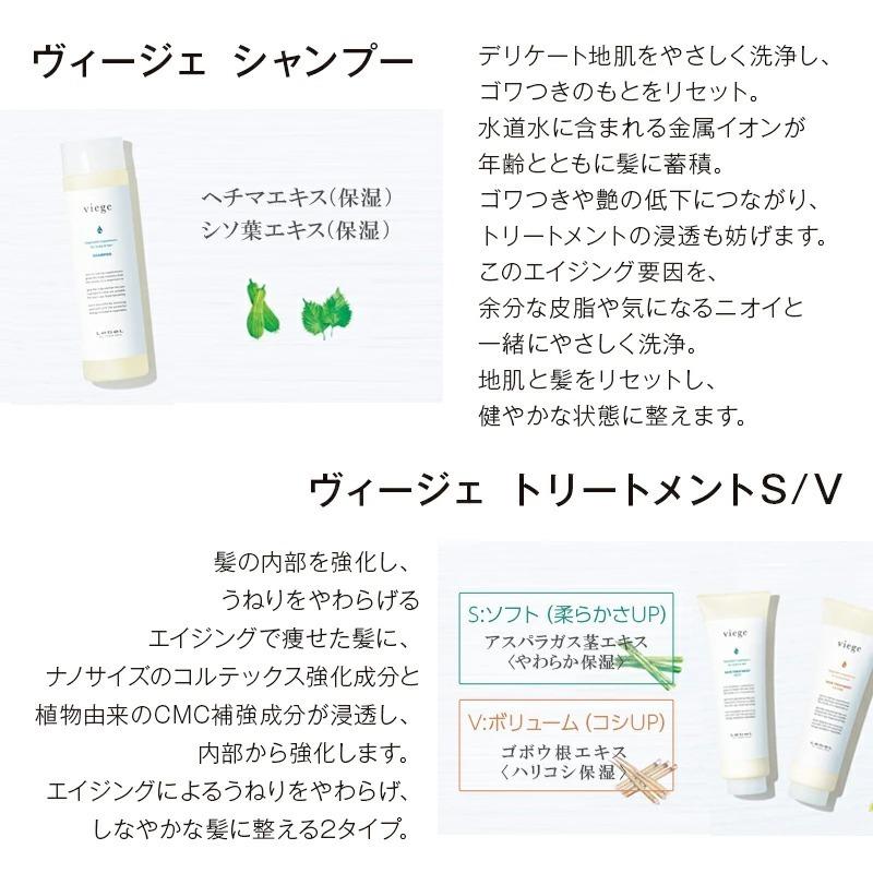 LebeL ルベル ヴィージェ シャンプー 600ml×3個セット 美容院
