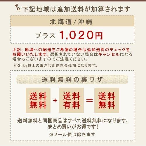 ルベル ヴィージェ シャンプー 2500ml（業務用）×2個セット 美容院専売 送料無料_5