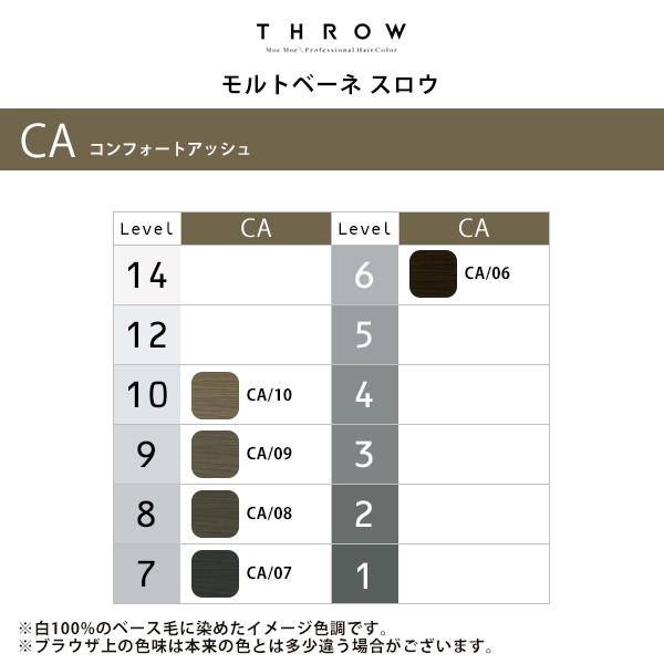 b-ex スロウ コンフォートカラー 1剤 コンフォートアッシュ 100g | 【メール便対応4個まで】 ca/ 06 07 08 09 10 モルト 白髪染め カラー剤 美容院専売 |  | 06