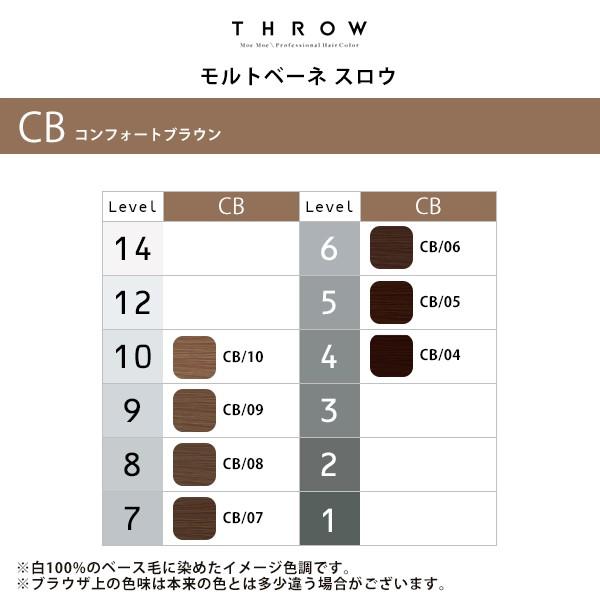 b-ex スロウ コンフォートカラー 1剤 コンフォートブラウン 100g