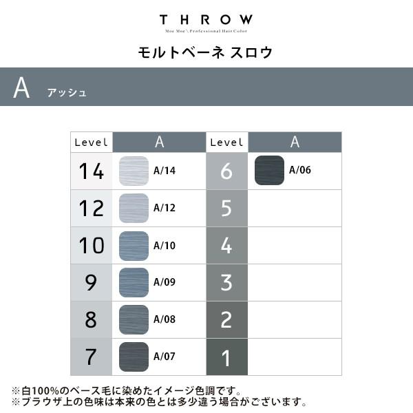 b-ex スロウ ファッションカラー 1剤 アッシュ 100g|a/06 a/07 a