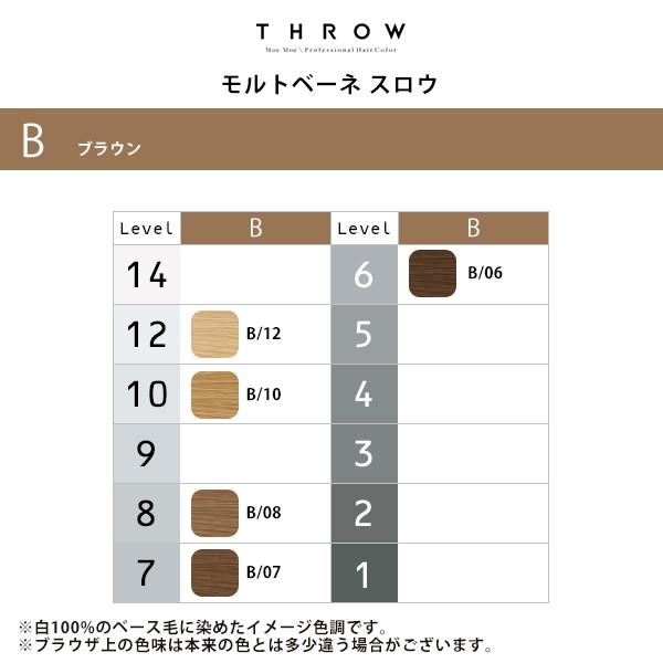 b-ex スロウ ファッションカラー 1剤 ブラウン 100g|b/06 b/07 b