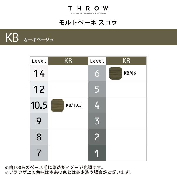 b-ex スロウ マージカラー 第1剤 100g【カーキベージュ】|throw KB