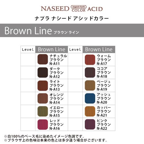 napla ナプラ ナシード アシッドカラー Brown Line 190g×2個