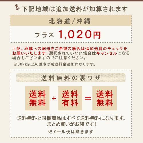 ニューウェイジャパン パイウェイ クリスタルジェル 100g×3個セット