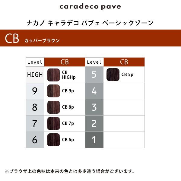 ナカノ キャラデコ パブェ ベーシックゾーン 1剤 カッパー