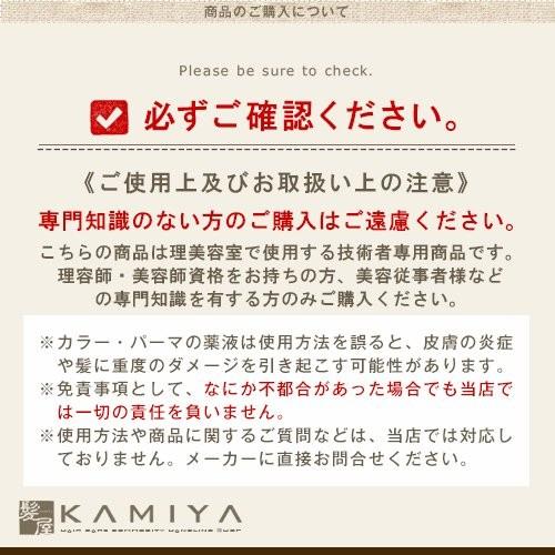 ナカノ キャラデコ アルカリタイプ モデレートカラー 1剤 シフォン