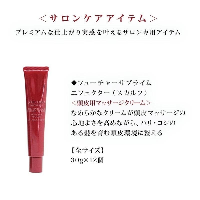 資生堂 プロフェッショナル フューチャーサブライム トリートメント 楽天市場】【LINE登録で300円クーポン】資生堂