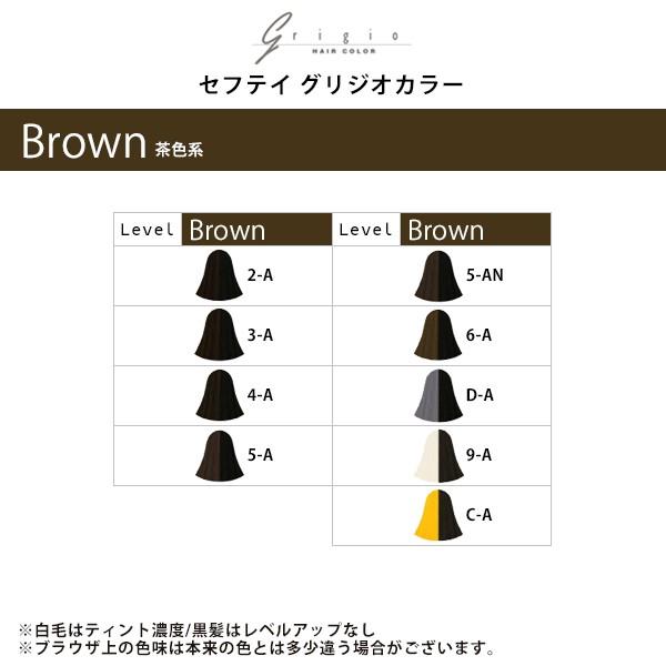 アロエ セフティ グリジオカラー1剤 60g×3 ブラウン | 【メール便対応3