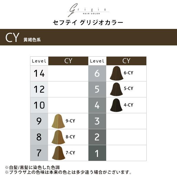 アロエ セフティ グリジオカラー1剤 60g×3 チェスナットイエロー