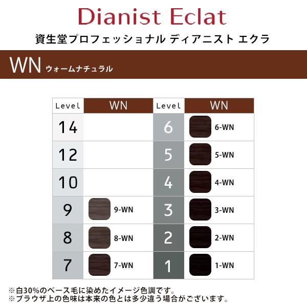 SHISEIDO 資生堂プロフェッショナル ディアニスト エクラ 1剤