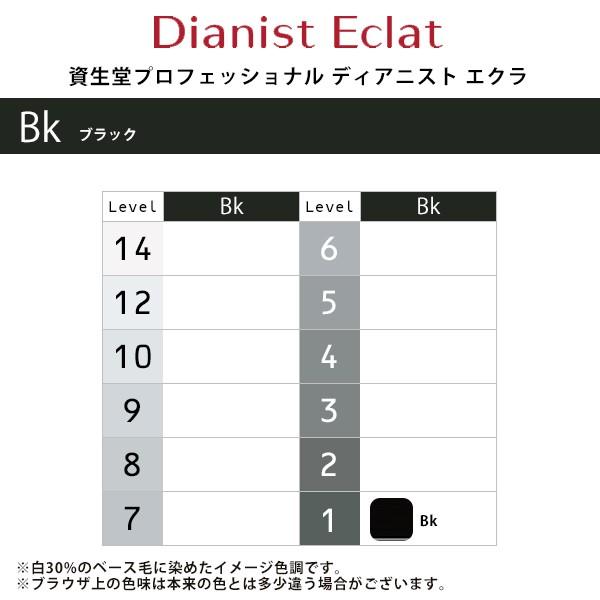 SHISEIDO（資生堂） 資生堂プロフェッショナル ディアニスト エクラ 1