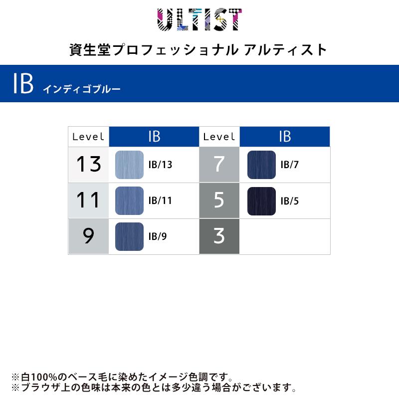 SHISEIDO PROFESSIONAL 資生堂 プロフェッショナル アルティスト