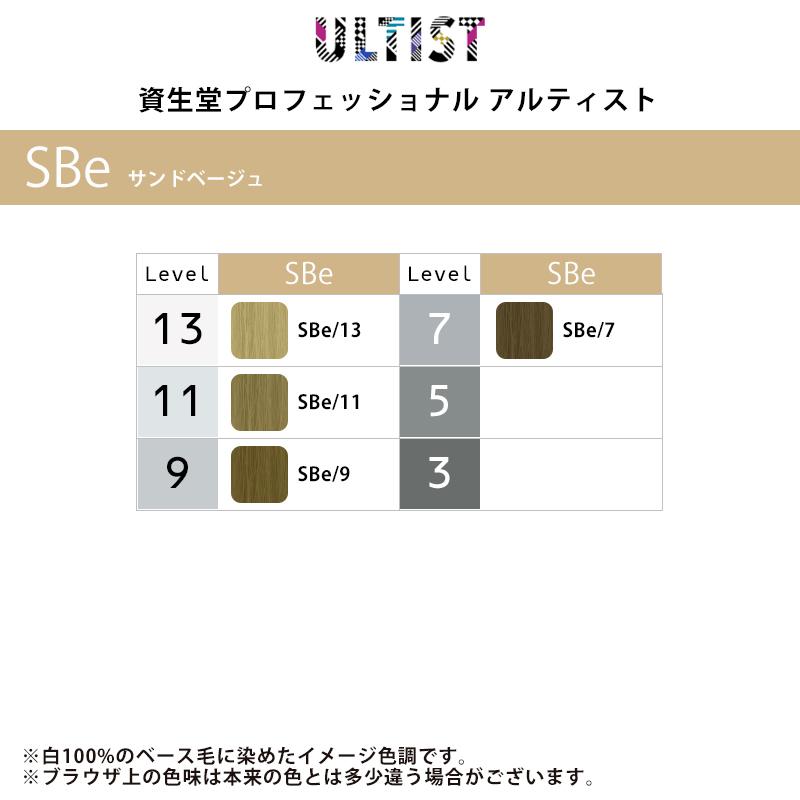 資生堂 プロフェッショナル アルティスト 1剤 サンドベージュ 80g  