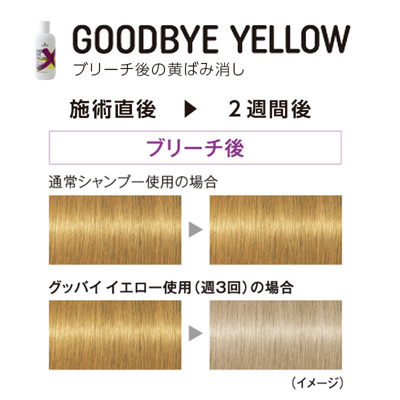 Schwarzkopf PROFESSIONAL シュワルツコフ グッバイ シリーズ