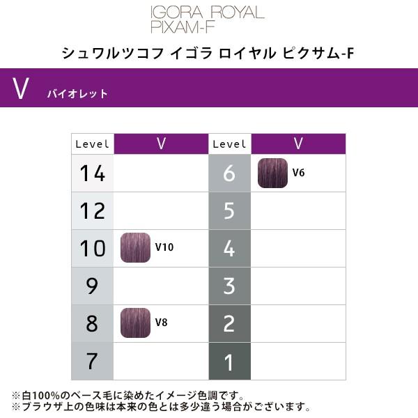 シュワルツコフ　イゴラカラー各種　100本セット IGORA ROYAL シュワルツコフ イゴラ ロイヤル ピクサム-F
