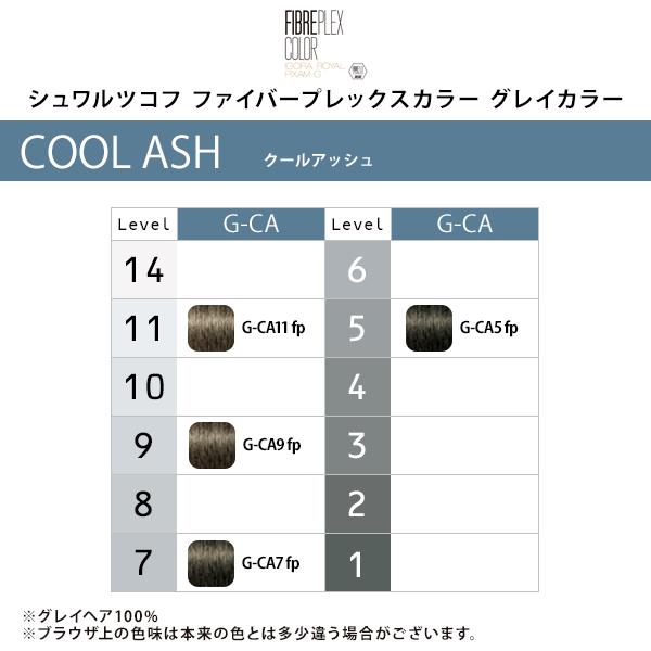 シュワルツコフ白髪染めグレーカラー専用カラー剤24本 FIBERPLEX シュワルツコフ ファイバープレックスカラー グレイ
