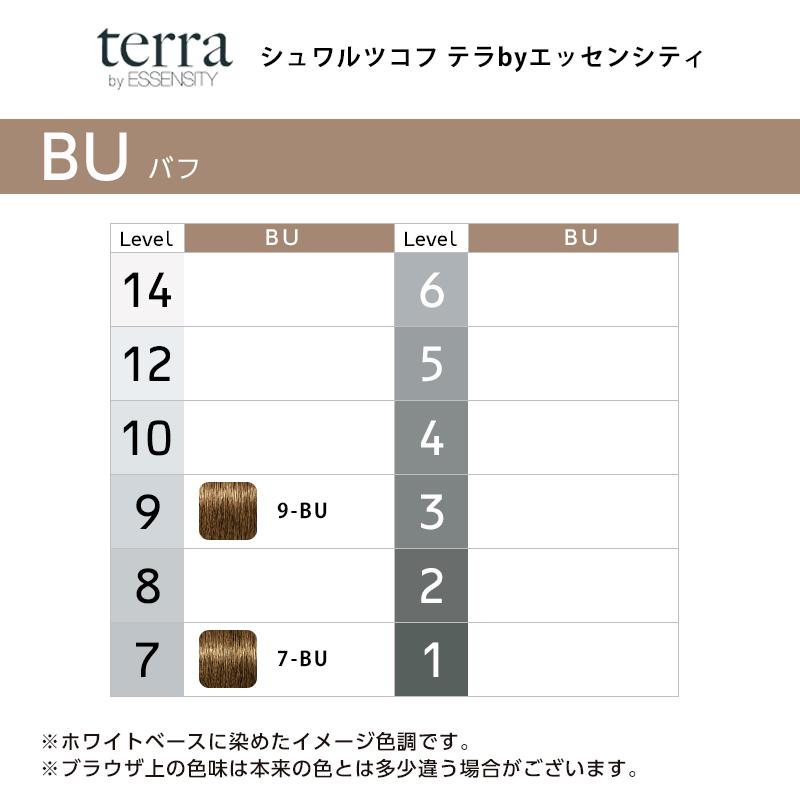 テラ エッセンシティ カラー剤 21本セット 楽天市場】シュワルツコフ テラ byエッセンシティ グレイシェード 第1