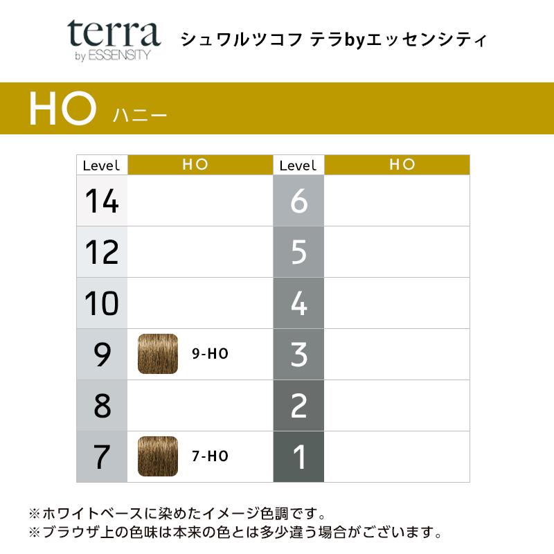 エッセンシティ シュワルツコフ テラ by 1剤 ハニー 85g | 【メール便