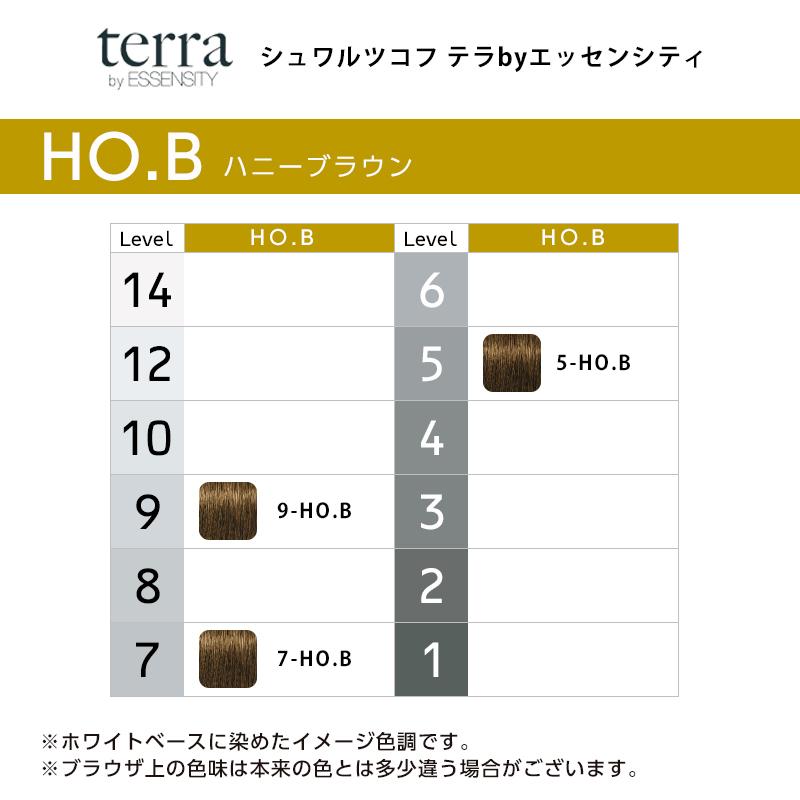テラ エッセンシティ カラー剤 21本セット エッセンシティ