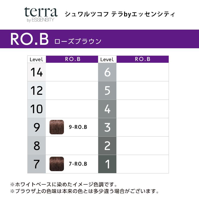 テラ エッセンシティ カラー剤 21本セット テラ エッセンシティ カラー剤 21本セット 美容 室 カラー 剤