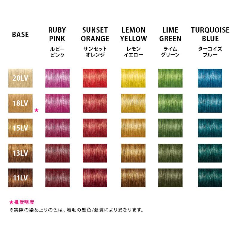 FIBREPLEX ボンドカラーゲル 5色セット 250g、クリア！本日削除❗️ FIBERPLEX シュワルツコフ ファイバープレックス ボンド カラー ジェル