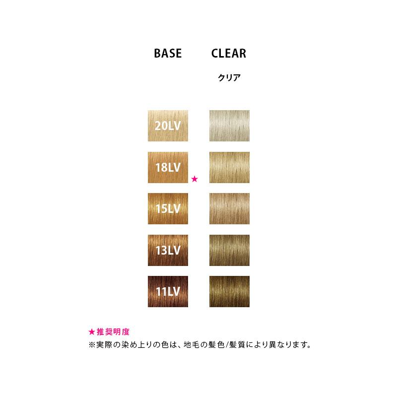 FIBERPLEX シュワルツコフ ファイバープレックス ボンド カラー ジェル