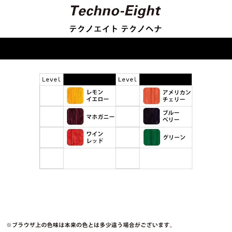 EHJ ヘナジャパン ハーブマホガニー 500x２ EHJ ヘナジャパン ハーブマホガニー 500x2 EHJ ヘナジャパン