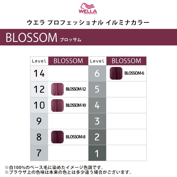 ILLUMINA COLOR ウエラ プロフェッショナル イルミナ カラー 1剤