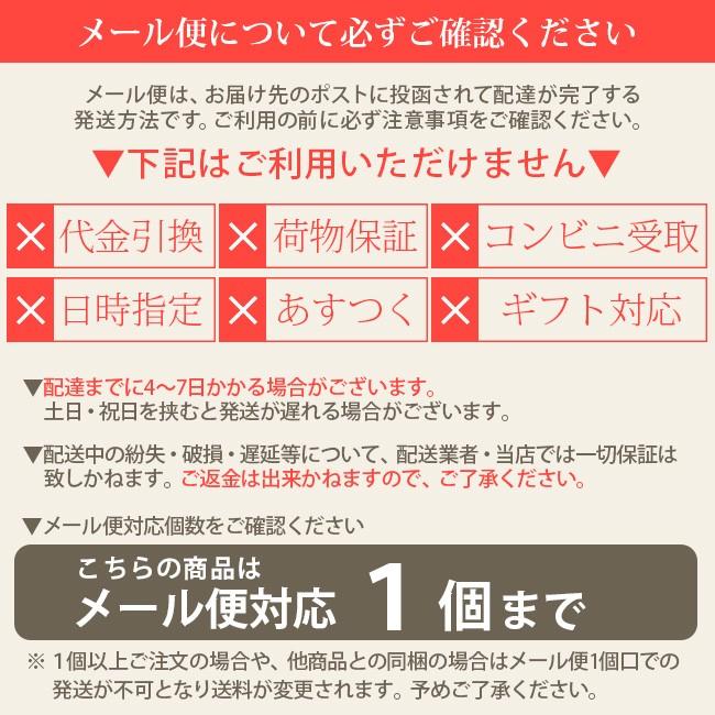 shu uemura（シュウ ウエムラ） アトリエメイド ブラシ 10|アイ