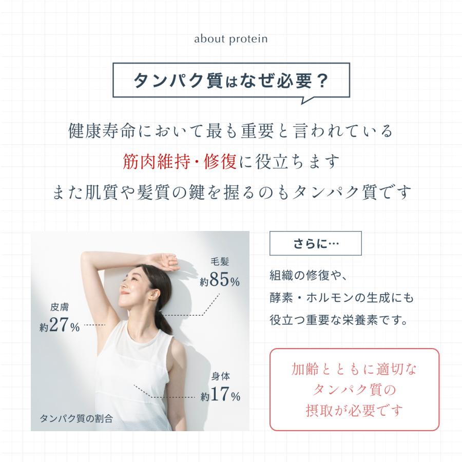 ヴィーガンプロテイン Plant-Based Vegan Protein ソイプロテイン 600g 5種の植物性 Dr. MiCHAEL タンパク質 大豆・玄米・ソラマメ等 国内製造 DMS-PRO001 | Dr.MiCHAEL | 02