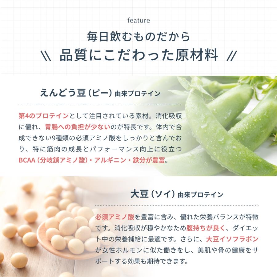 ヴィーガンプロテイン Plant-Based Vegan Protein ソイプロテイン 600g 5種の植物性 Dr. MiCHAEL タンパク質 大豆・玄米・ソラマメ等 国内製造 DMS-PRO001 | Dr.MiCHAEL | 05